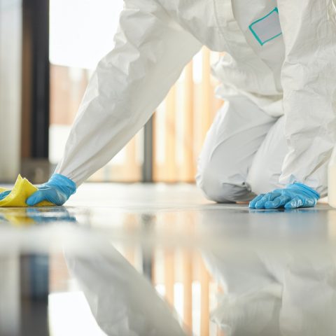 Professional Floor Cleaning